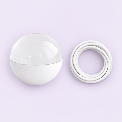 What's in the box: the Memory Orb and a USB data and charging cable
